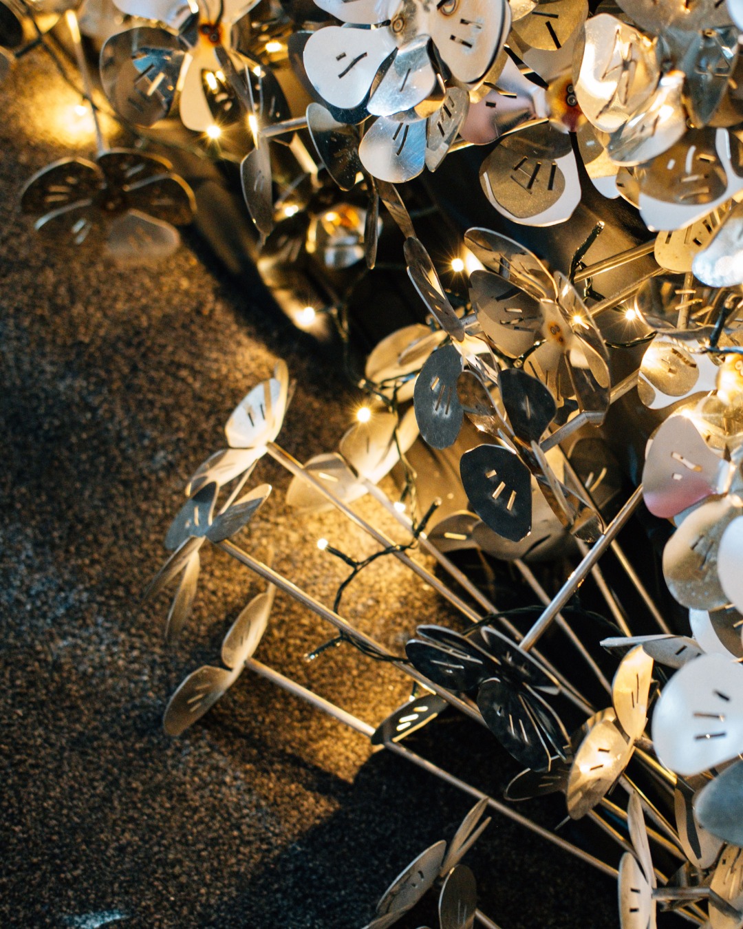 Garden of Light by Laura Gates