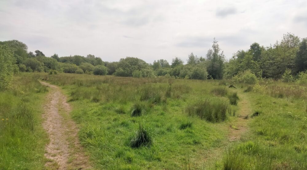 Prenton Nature Trail is now open all year round