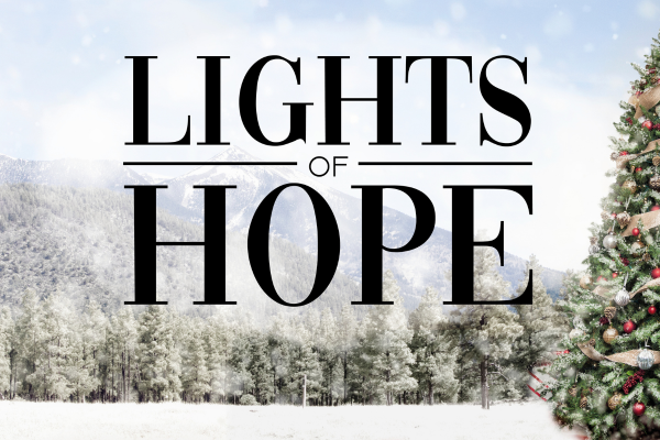 Lights of Hope St Georges Hall