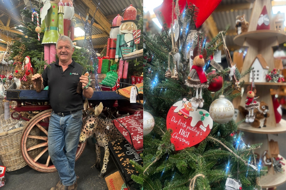 St Helens farmer is giving a free baby Christmas tree to all babies born this year