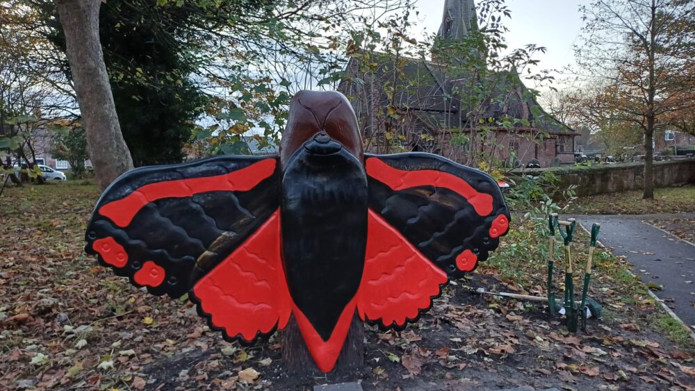 A new woodland play trail has launched in Speke