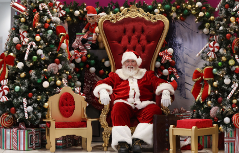 Knowsley Safari Alder Hey