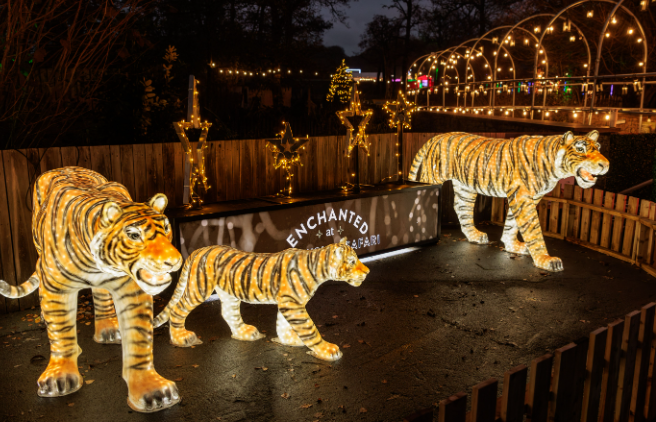 Knowsley Safari launches Christmas toy appeal for Alder Hey