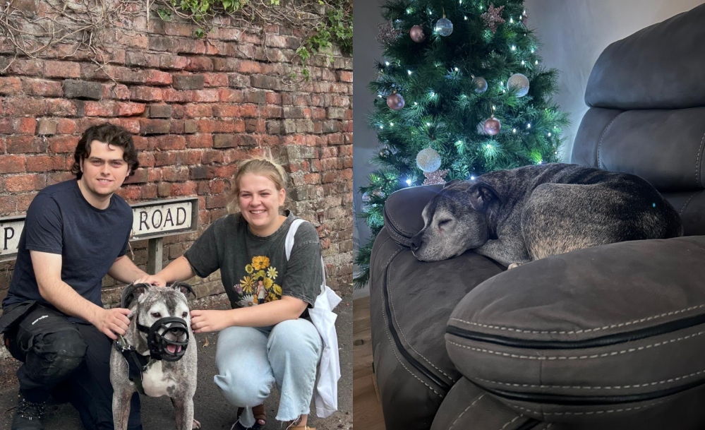 Christmas came early for Rio who’s found a home after seven years in kennels