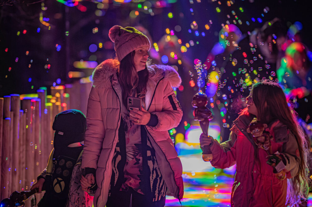 MBNA - Chester Zoo - Lanterns and Lights - Zoes Place