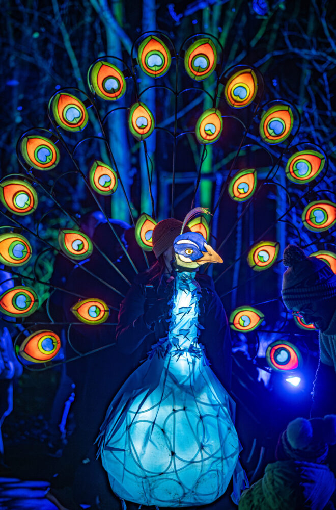 MBNA - Chester Zoo - Lanterns and Lights - Zoes Place