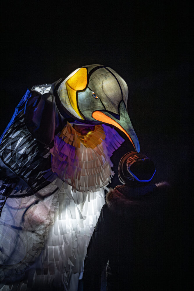 MBNA - Chester Zoo - Lanterns and Lights - Zoes Place