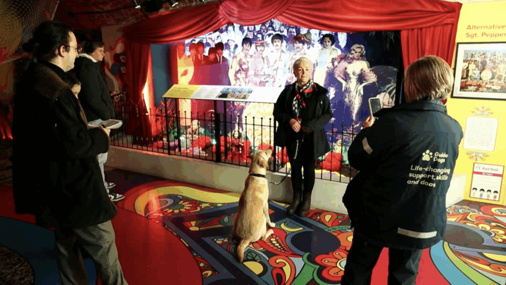 Credit: Guide Dogs / The Beatles Story The Guide Liverpool