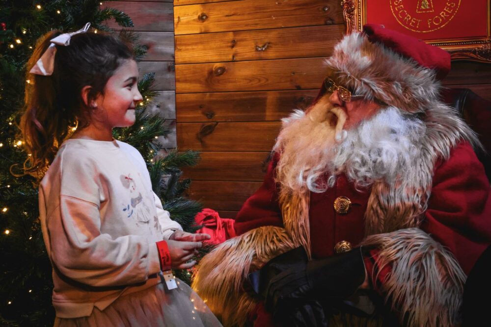 Santa's Secret Forest