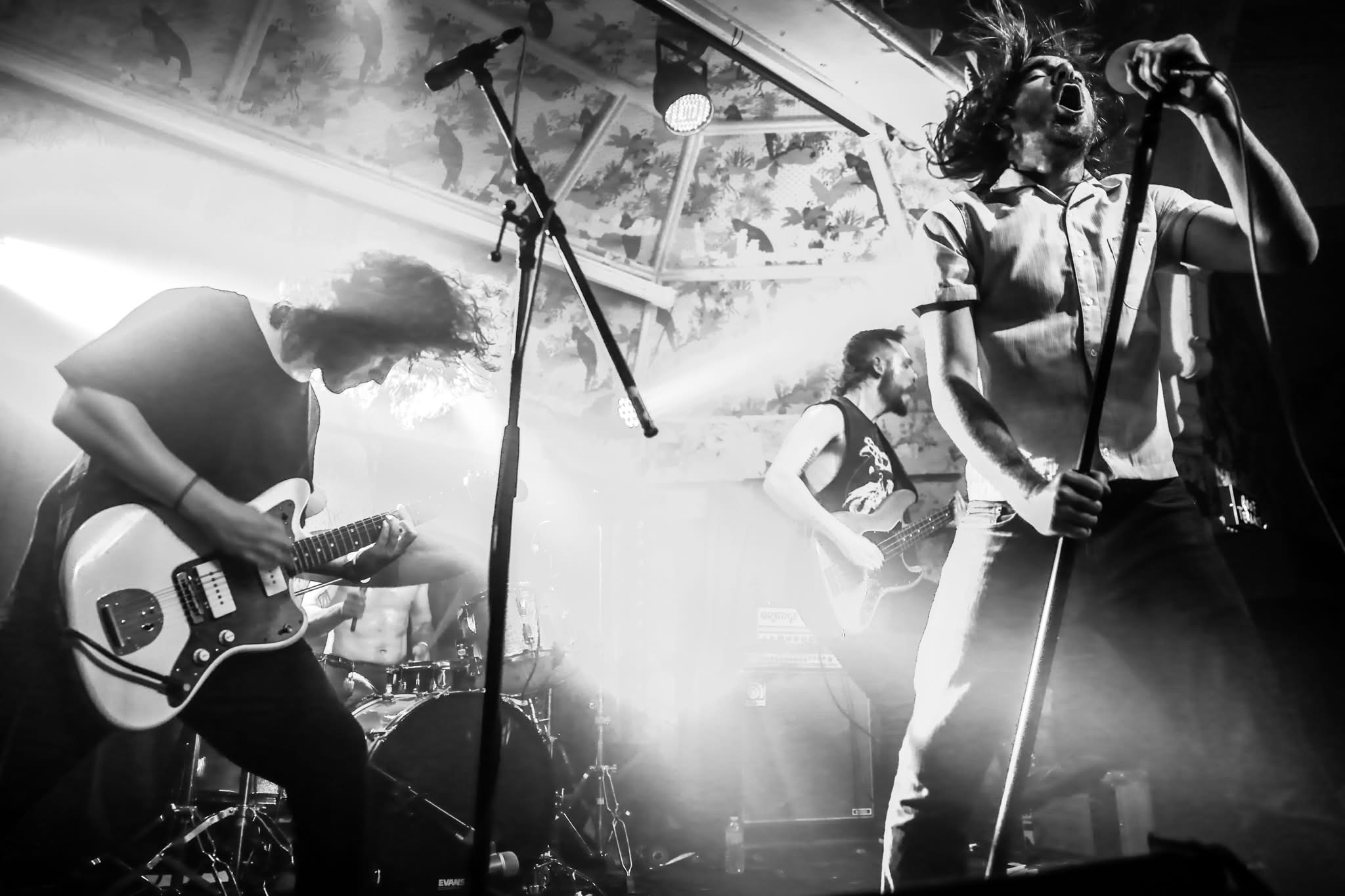 Pulled Apart By Horses