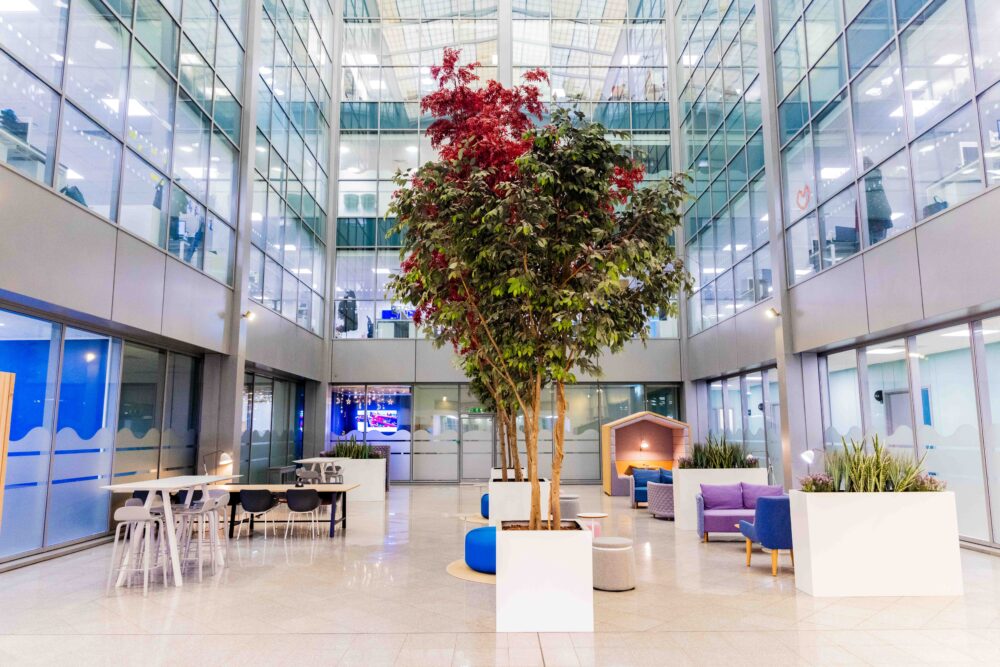 PEEL SAUNA at Liverpool Waters