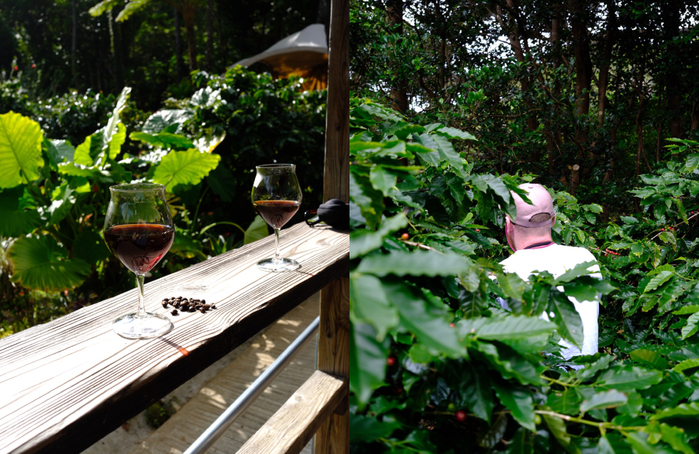 Liverpool Coffee Festival