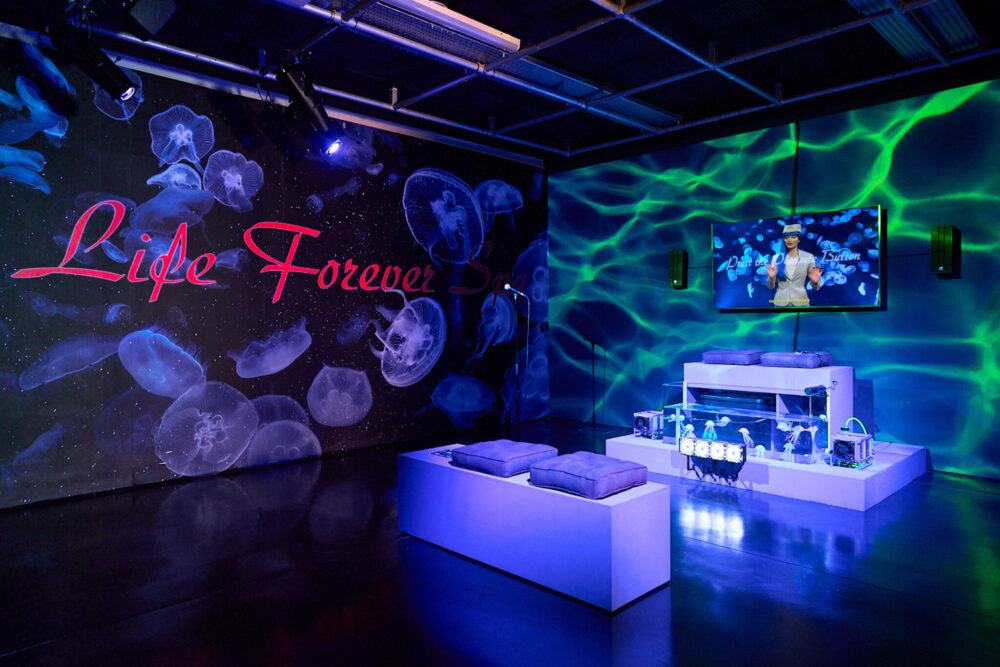 Can Meeple Escape the Neurophoria?