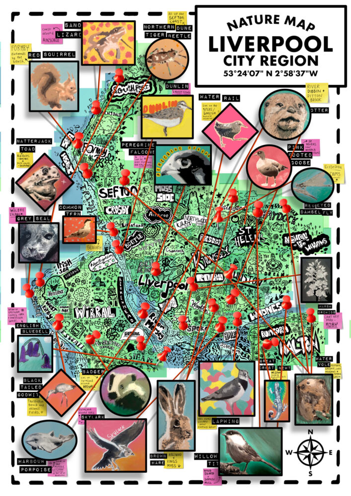 Credit: Liverpool City Region Local Nature Recovery Strategy