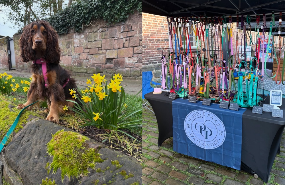 How Mabel the cocker inspired a new Liverpool business and dog owners’ walking group