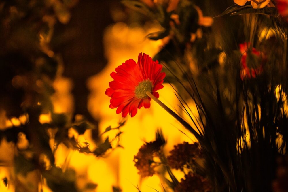 Candlelight: Hans Zimmer’s Best Works