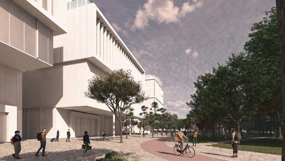 New Plans for Paddington South to Connect Communities and Boost Biodiversity