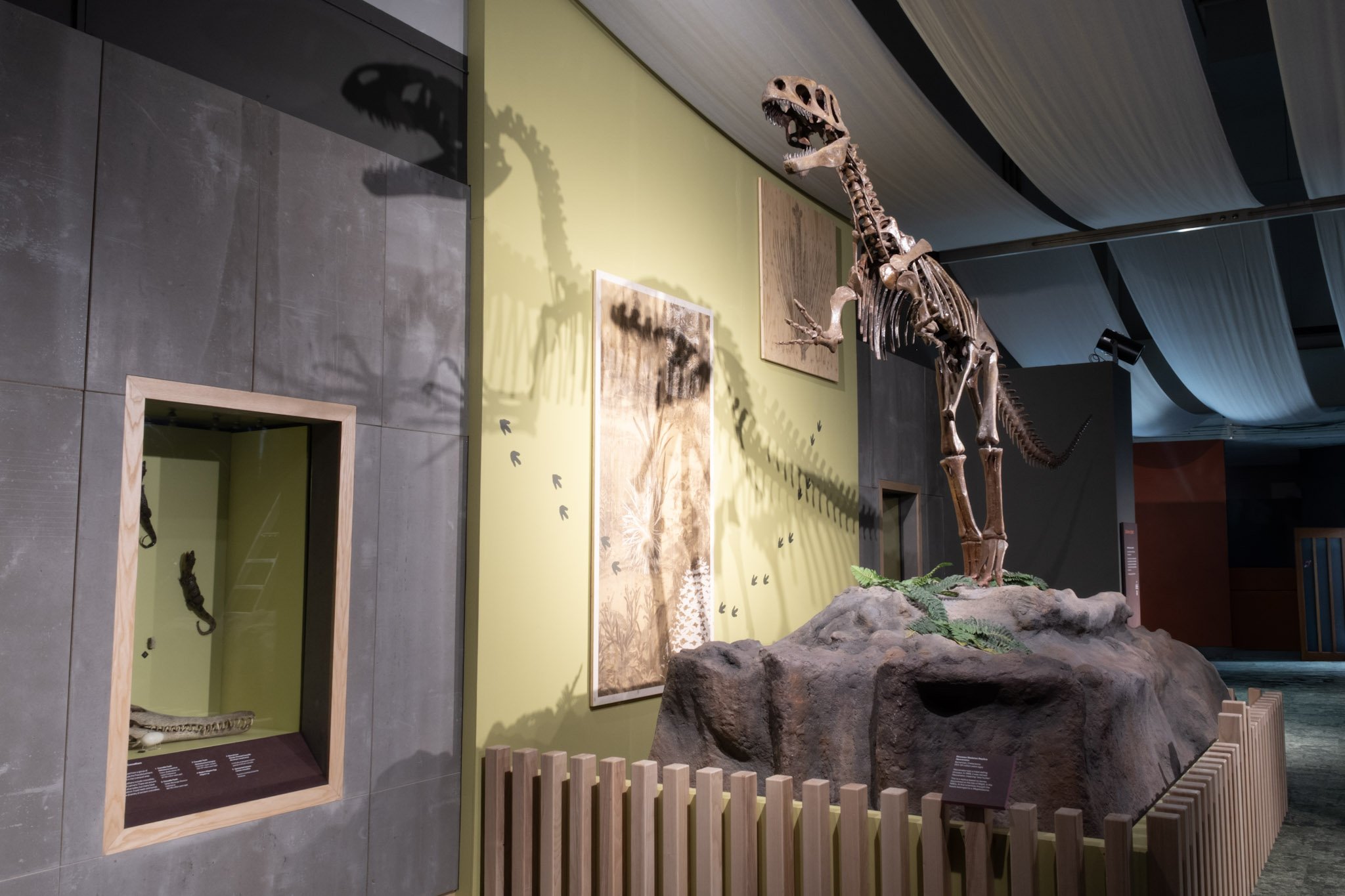 Why World Museum’s gone ‘Wild’ after being named BID’s Business of the Month for April