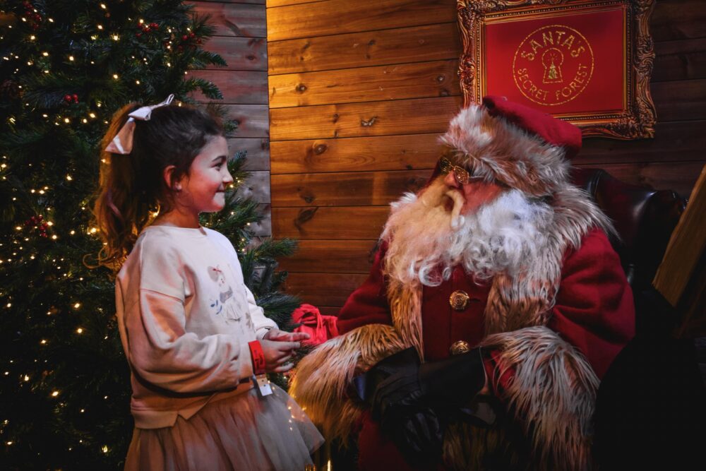 Santa's Secret Forest