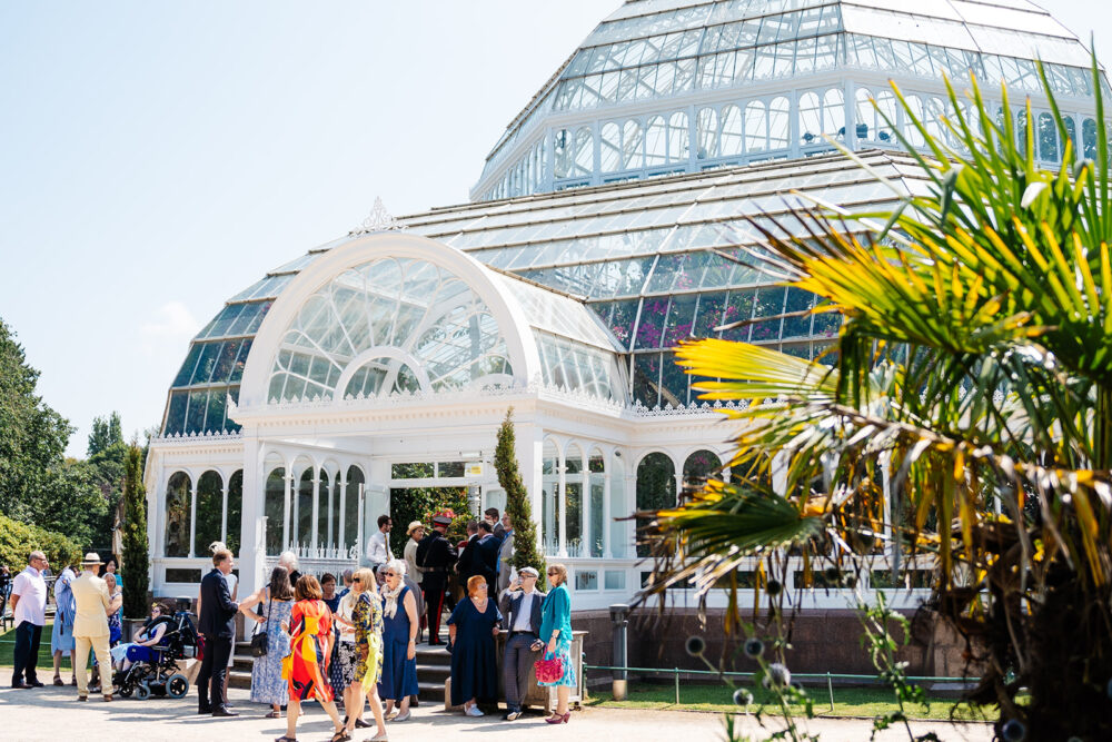 The Palm House launches new exhibition about how it was saved by the local community