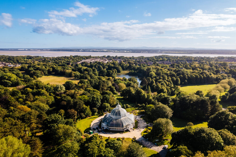Sefton Park Palm House launches first ever show gardens for 25th anniversary celebrations
