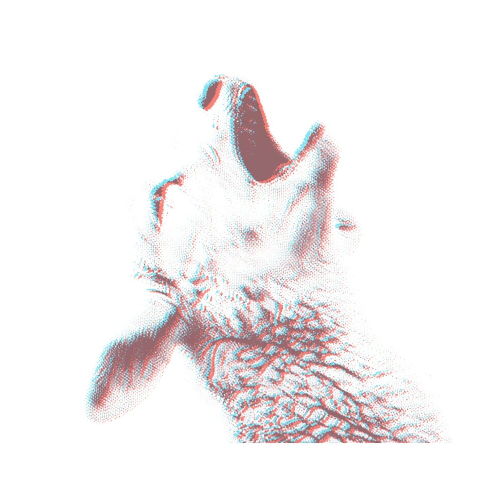 Lambslaughter