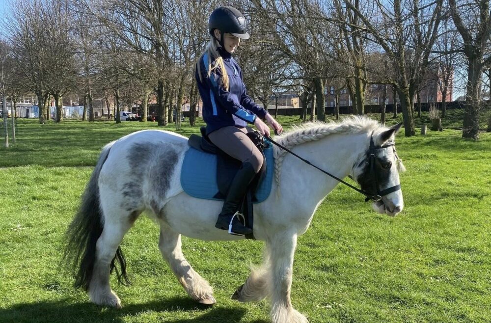 Park Palace Ponies wins National Lottery funding to create new project for L8 families
