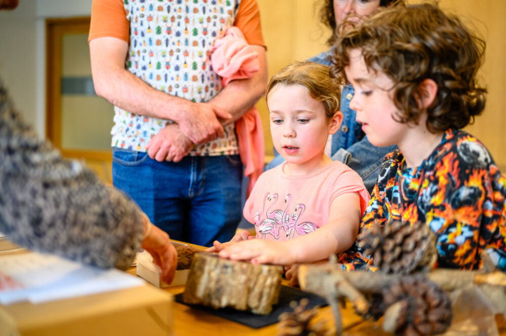 Children exploring exhibits at the Dinomania event, with adults in the background.