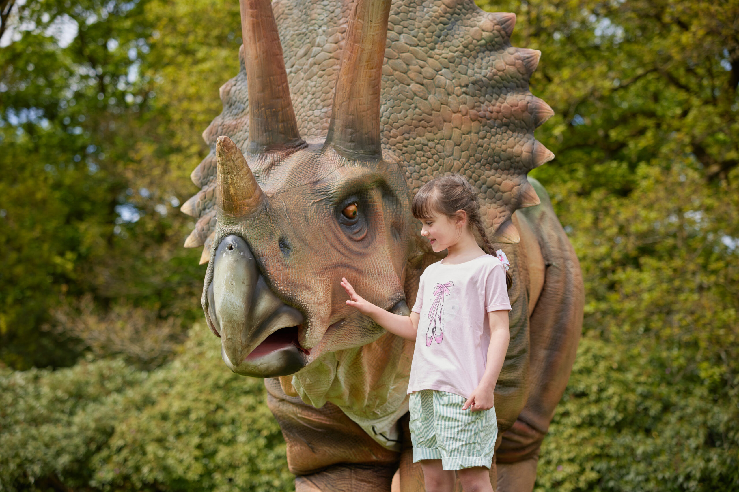 Knowsley Safari