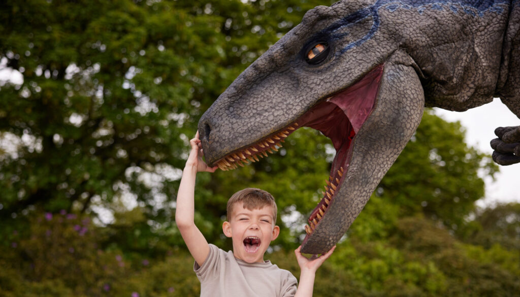 Knowsley Safari