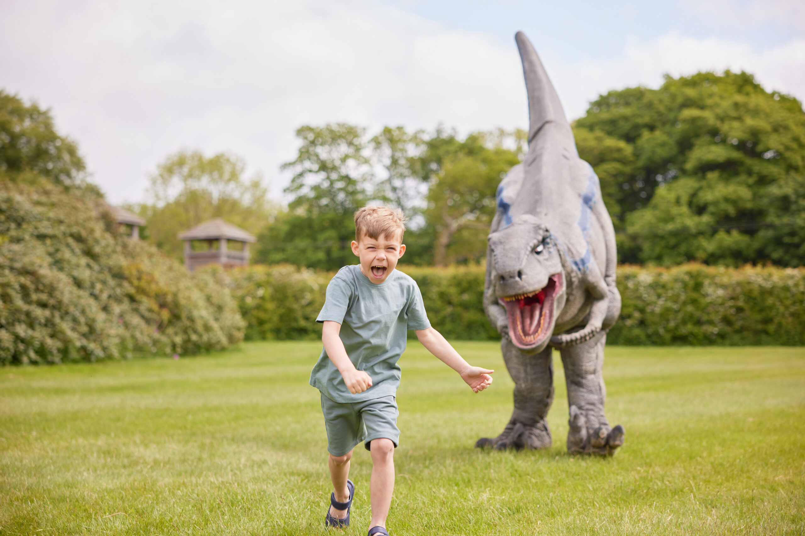 Knowsley Safari