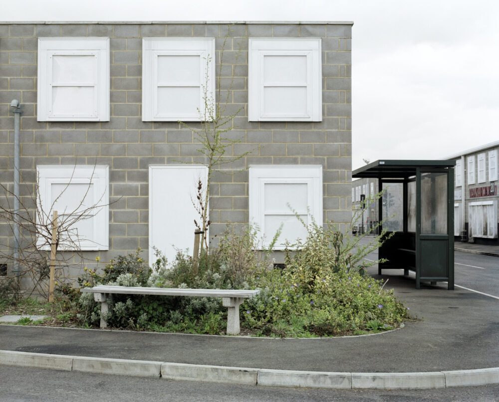 s This A Garden? and The Perfect Flower LOOK Photo Biennial 2026