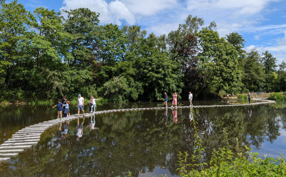 Europe’s longest stepping stones have opened this month at WWT Martin Mere