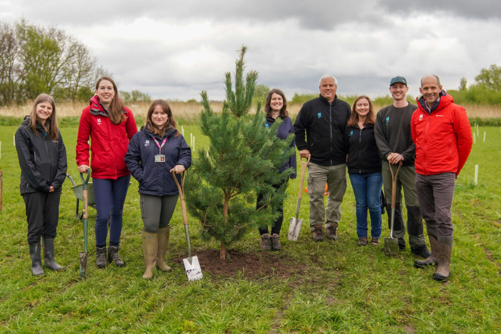 How The Mersey Forest is helping people and businesses make the region greener