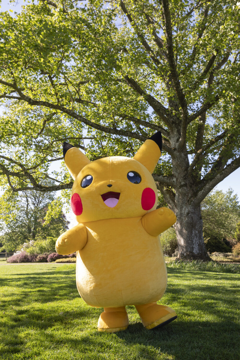 Pokemon at Speke Hall
