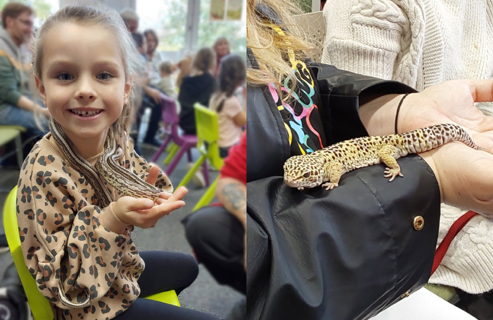 Animal magic’s back at Sefton Libraries this summer