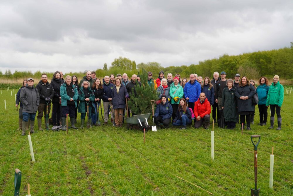 How The Mersey Forest is helping people and businesses make the region greener