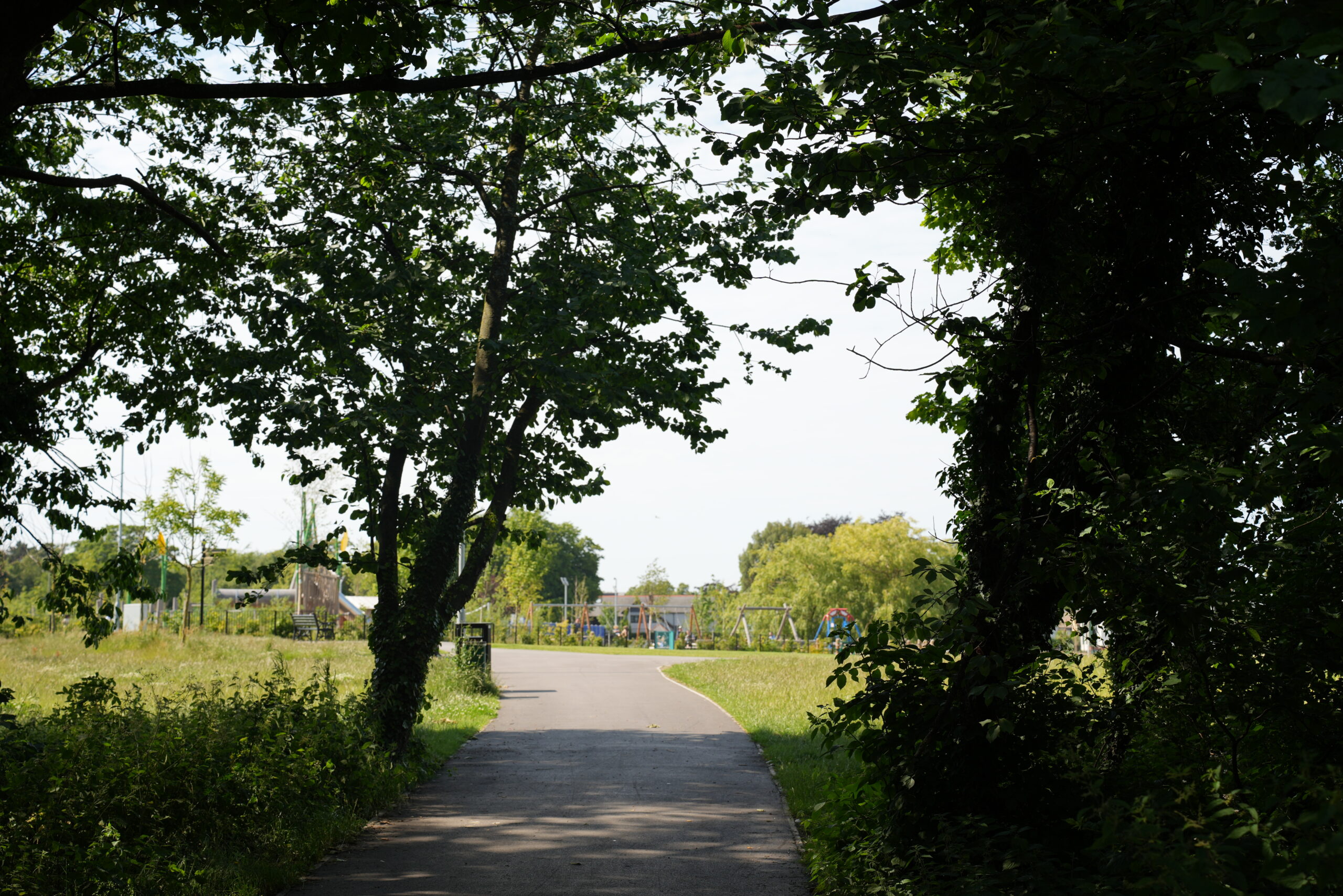 Springfield Park