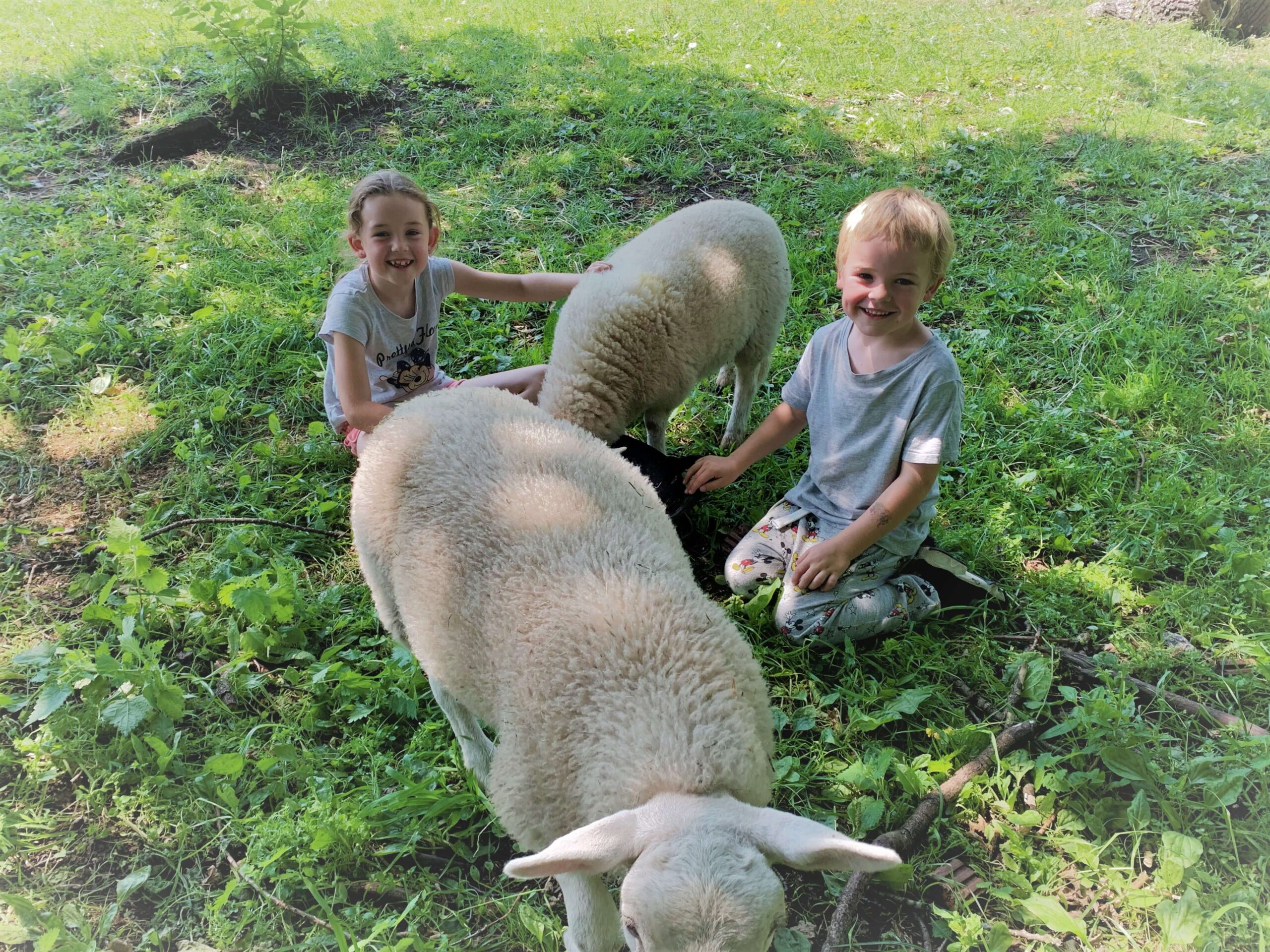 Tam O’Shanter Farm, Bidston