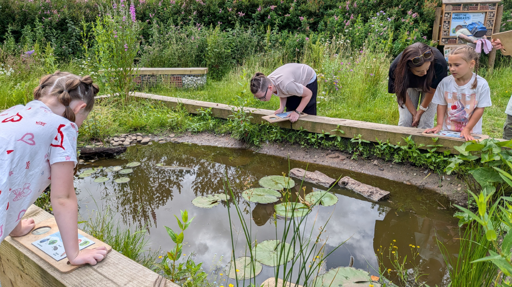 Stepping stones - Martin Mere