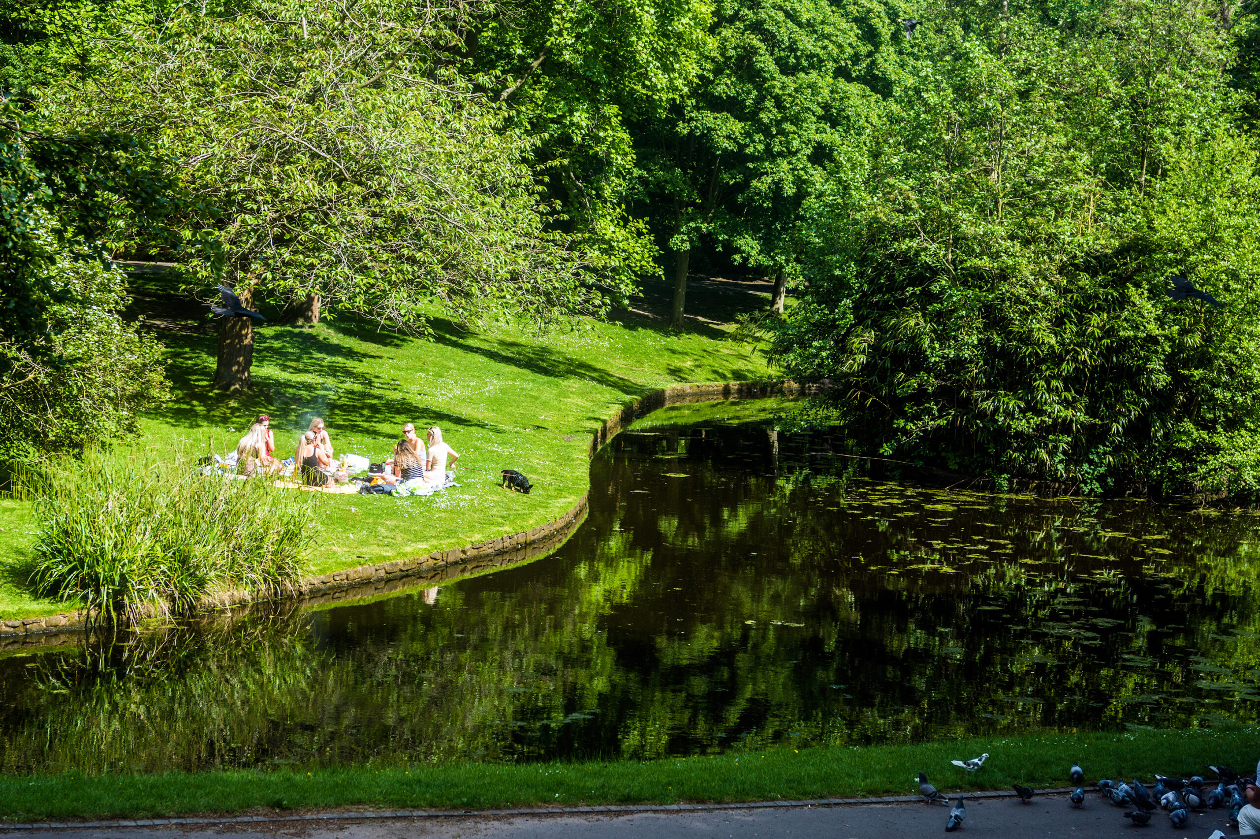 Eight Liverpool parks awarded prestigious Green Flag awards